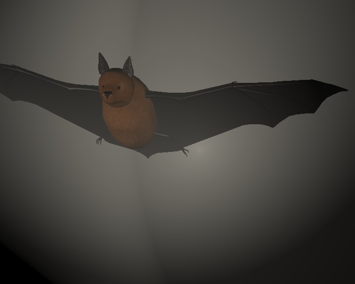 Chauve-souris en vol. Auteur: Nikolas Aubourg. Cliquer pour voir l'image en taille reelle